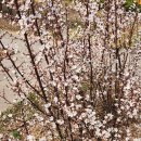 푸른봄한의원 이미지