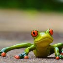 뽀스락뽀스락 이미지