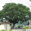 내송경로당 이미지