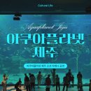 마이바당 | 아시아 최대 규모 아쿠아리움 '아쿠아플라넷 제주' 오션 아레나 공연 정보 및 관람 후기
