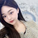 펄미에이트 이미지