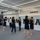 하바스MMA 압구정 이미지