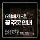 하이꽃집