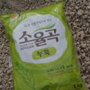 섬진강누룩꽃