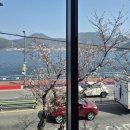 스타벅스통영죽림점 | [통영여행]스타벅스 통영죽림점 벚꽃 뷰 명당자리 후기