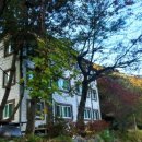 아젤리아 펜션 이미지