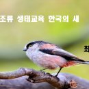 [생태교육] 조류 생태교육 한국의 새 특강 이미지