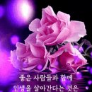 [17일] 말잇기 (약.) 이미지