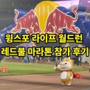 레디카 | 레드불 마라톤 전 세계 함께 달리는 윙스포 라이프 월드 런 후기