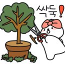 파도식물