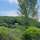 돌리네습지주차장 이미지