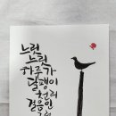 느린하루 이미지