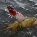 🦐 트리플 디토 리얼 새우 에기 케이무라 80mm 갑오징어·한치·문어 시즌 믿고 쓰는 실전형 에기 추천!