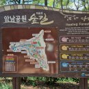 11월 테마 부산 송도 갈맷길 해안 트레킹(용궁구름다리) 이미지