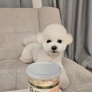 베이비타운 | 🥕 퍼리타운 베이비캐럿 동결건조 간식 후기