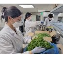 으뜸농약 이미지