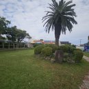 법환초등학교 이미지