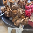 은지마차 | 얼렁뚱땡일기