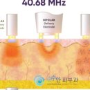 이플러스컴퍼니