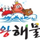 해왕수족관 네이버블로그