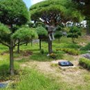 안전목장 이미지