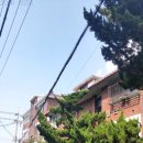 부천여월초 이미지