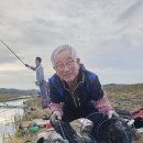 2026년 7번째 조행기(대호만 사성수로 대박) 이미지