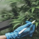 (주)네오켄바이오 이미지