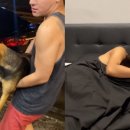 멍멍이가족 이미지