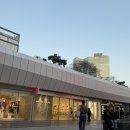 찰스앤키스 가방 칼라 토트 백 다크모스 솔직 후기 스타필드 코엑스몰점 매장 쇼핑 후기