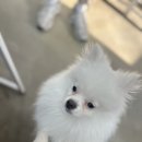 그루밍솔루션 구로점 이미지