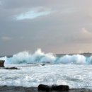 일주농장 이미지