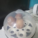 멀티쿡 | 원터치 쾌속가열 멀티 쿡 에그 스티머 계란찜기 찐 후기