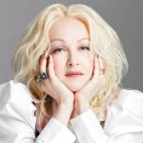 신디컴퍼니 이미지