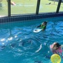 헬로키즈풀빌라 이미지