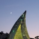 소망식품 이미지