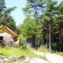 블랙트리 하우스 이미지