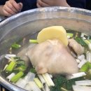 원조닭한마리 이미지
