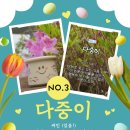 별처럼빛나는