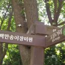 백만성