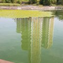 해바라기유치원 이미지