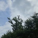 창공농장 이미지