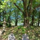 서울 근교 포천 나들이하기 좋은 '서운 동산' 상세 후기.