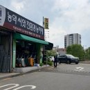 롱코비드 약사의 약국 화분 돌보기ㅣ응애 의심부터 인시피오 구입까지 (2/2)