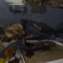 씨유용산우방2차점 | [달서구 용산우방타운2차 누수] 아래층 욕실 천장에 물이 떨어질 때 대처법과 부분 방수 보수 후기