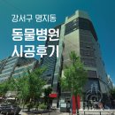 봄날씨엔에스