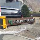 퍼피랜드 이미지