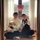 수수가옥 | 광주 근교 전남 곡성군 애견동반 감성 숙소 수수가옥 후기