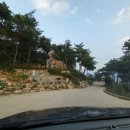 산청렉카 | 내여추 600고지 하룻밤