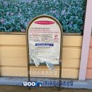 화전초등학교 이미지